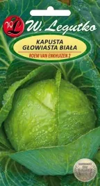 legutko-kapusta-glowiasta-biala-roem-van-enkhuizin-2g