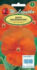 legutko-bratek-wielkokwiatowy-orange-sun-pomaranczowy-04g