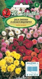 legutko-dalia-zmienna-polpelna-karlowa-diablo-mieszanka-1g