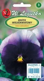 legutko-bratek-wielkokwiatowy-lord-beacon-fioletowy-z-bialym-obrzezem-05g