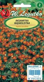 legutko-aksamitka-waskolistna-red-gem-brazowo-czerwona-03g