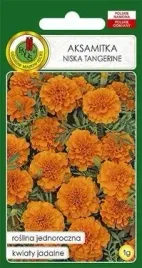 pnos-aksamitka-pelna-niska-tangerine-pomaranczowa-1g