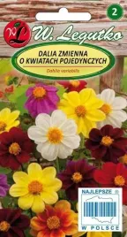 legutko-dalia-zmienna-pojedyncza-karlowa-mignon-mieszanka-1g