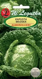 legutko-kapusta-wloska-aubervilliers-1g