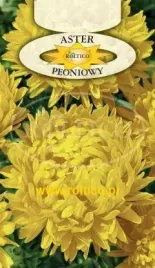 roltico-aster-chinski-peoniowy-zolty-1g