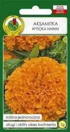 pnos-aksamitka-pelna-wysoka-hawaii-pomaranczowa-1g