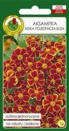 pnos-aksamitka-pojedyncza-eliza-brzoskwiniowo-karmazynowa-1g