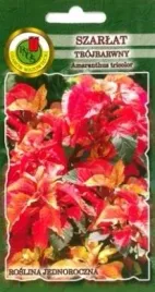 pnos-szarlat-trojbarwny-molten-fire-brazowo-czerwony