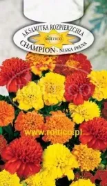 roltico-aksamitka-rozpierzchla-champion-mieszanka-0-3g