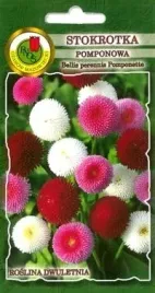 pnos-stokrotka-pomponette-mieszanka-02g