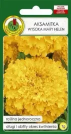 pnos-aksamitka-pelna-wysoka-mary-helen-cytrynowozolta-1g