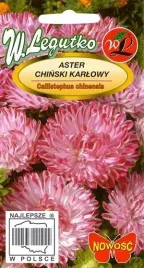 legutko-aster-chinski-karlowy-contraster-rozowo-bialy-05g