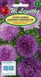 legutko-aster-chinski-karlowy-contraster-niebieski-05g