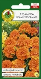 pnos-aksamitka-pelna-niska-petite-orange-pomaranczowa-1g