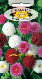 roltico-stokrotka-pomponette-mieszanka-0-1-g