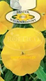 roltico-bratek-wielkokwiatowy-zolty-05g