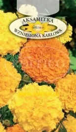 roltico-aksamitka-wzniesiona-karlowa-mieszanka-05g