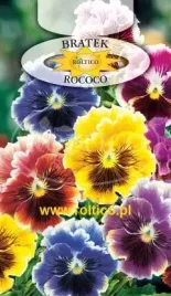 roltico-bratek-ogrodowy-rococo-mieszanka-04g