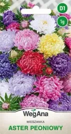 wegana-aster-chinski-peoniowy-mieszanka-1g
