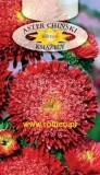 roltico-aster-chinski-ksiazecy-czerwony-1g