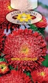 roltico-aster-chinski-ksiazecy-czerwony-1g