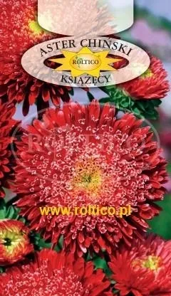 roltico-aster-chinski-ksiazecy-czerwony-1g