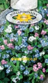 roltico-niezapominajka-alpejska-mieszanka-0-5-g