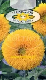 roltico-slonecznik-ozdobny-wysoki-pelny-2g