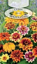 roltico-cynia-meksykanska-mieszanka-05-g