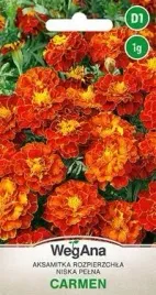 wegana-aksamitka-rozpierzchla-niska-carmen-1g