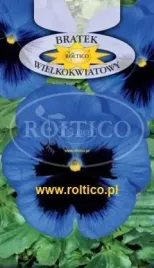 roltico-bratek-wielkokwiatowy-niebieski-z-plama