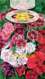 roltico-gozdzik-chinski-mix-1g