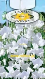 roltico-groszek-pachnacy-bialy-3g