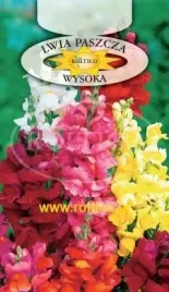 roltico-lwia-paszcza-wysoka-mieszanka-05g