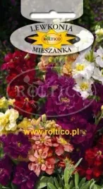 roltico-lewkonia-letnia-mieszanka-05g