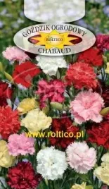 roltico-gozdzik-szabo-chabaud-mieszanka-05g