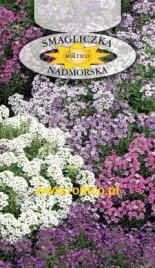 roltico-smagliczka-nadmorska-mieszanka-0-5-g