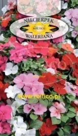 roltico-niecierpek-waleriana-mix-01g