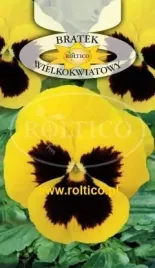 roltico-bratek-ogrodowy-zolty-z-plama-05g