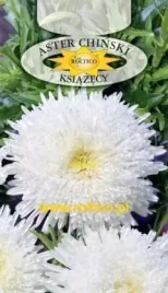 roltico-aster-chinski-ksiazecy-bialy-1g
