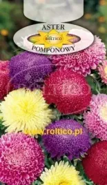 roltico-aster-chinski-pomponowy-mieszanka-1g