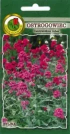 pnos-ostrogowiec-rozowy-03g