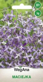 wegana-maciejka-3-g