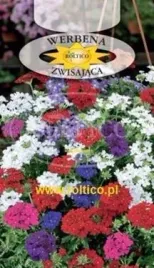 roltico-werbena-zwisajaca-mix-03g