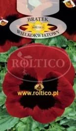 roltico-bratek-ogrodowy-czerwony-z-plama-05g