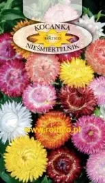 roltico-kocanka-niesmiertelnik-mieszanka-1g