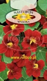 roltico-nasturcja-wysoka-czerwona-4g