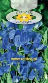 roltico-groszek-pachnacy-niebieski-3g