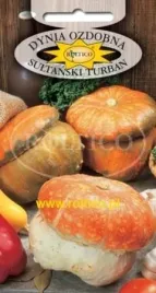 roltico-dynia-ozdobna-sultanski-turban-2g