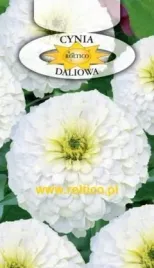 roltico-cynia-wytworna-daliowa-biala-1g